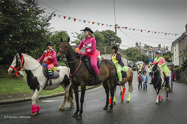 St.Dennis Carnival 2014